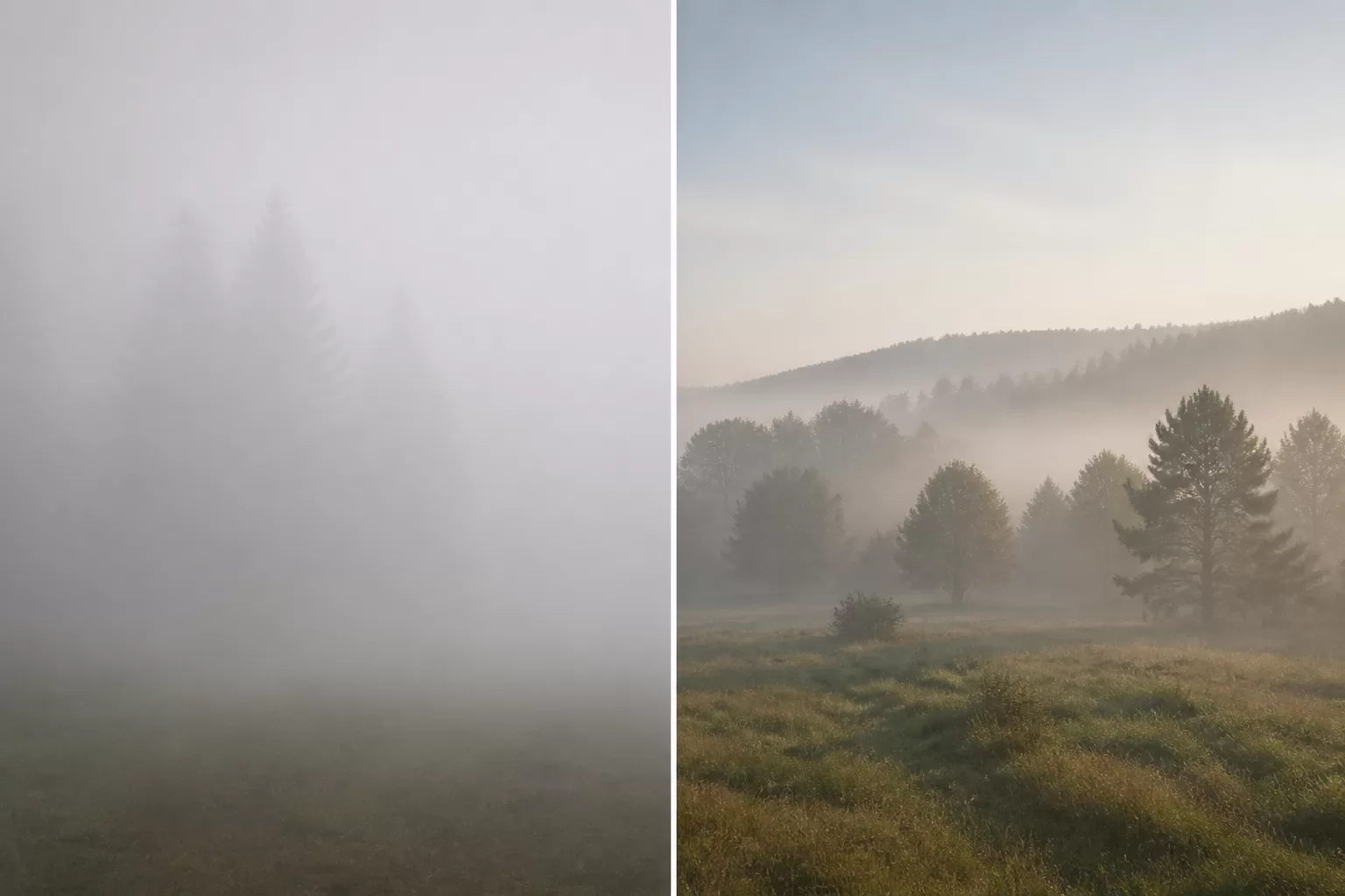 Kuo skiriasi migla nuo rūko